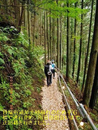 逆川１.JPG