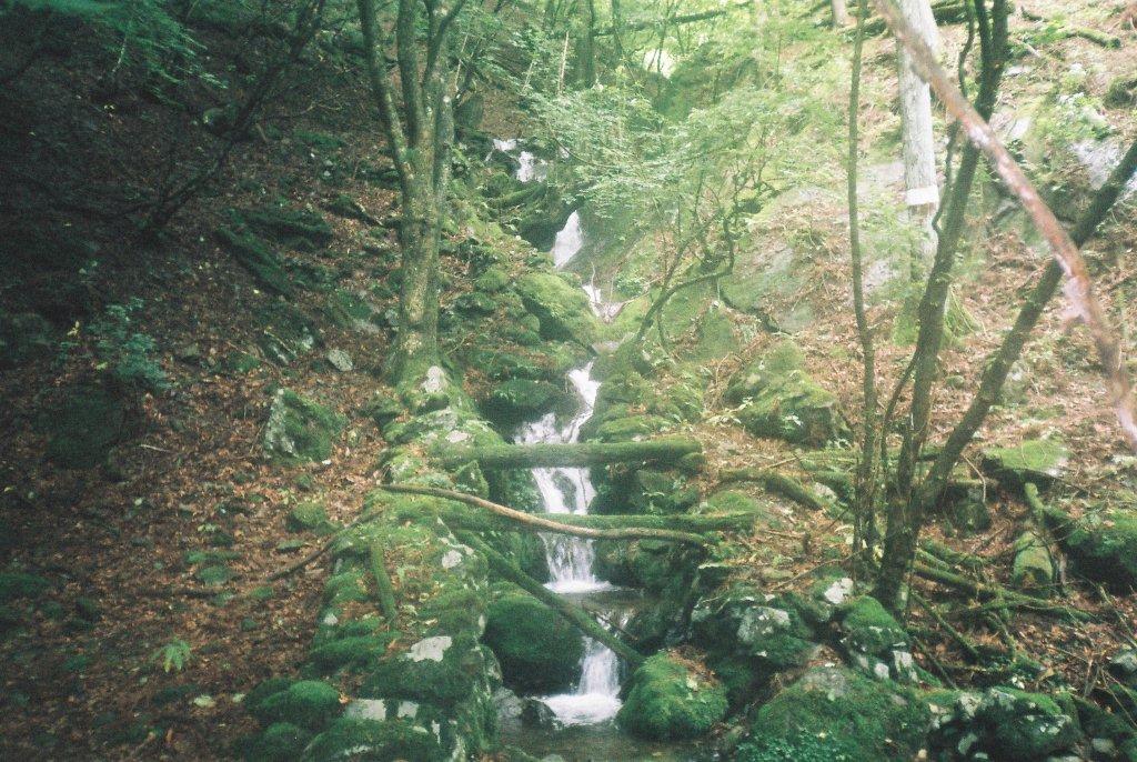 逆川 14.jpg 逆川 14.jpg