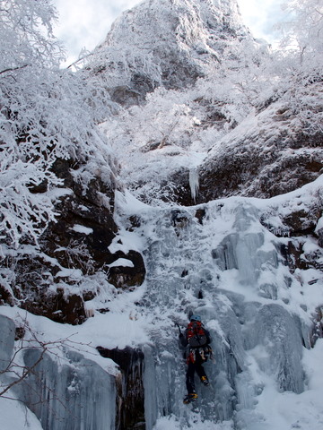 20111210-037.jpg 20111210-037.jpg