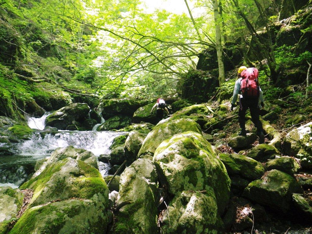 豆焼沢・25.jpg 豆焼沢・25.jpg