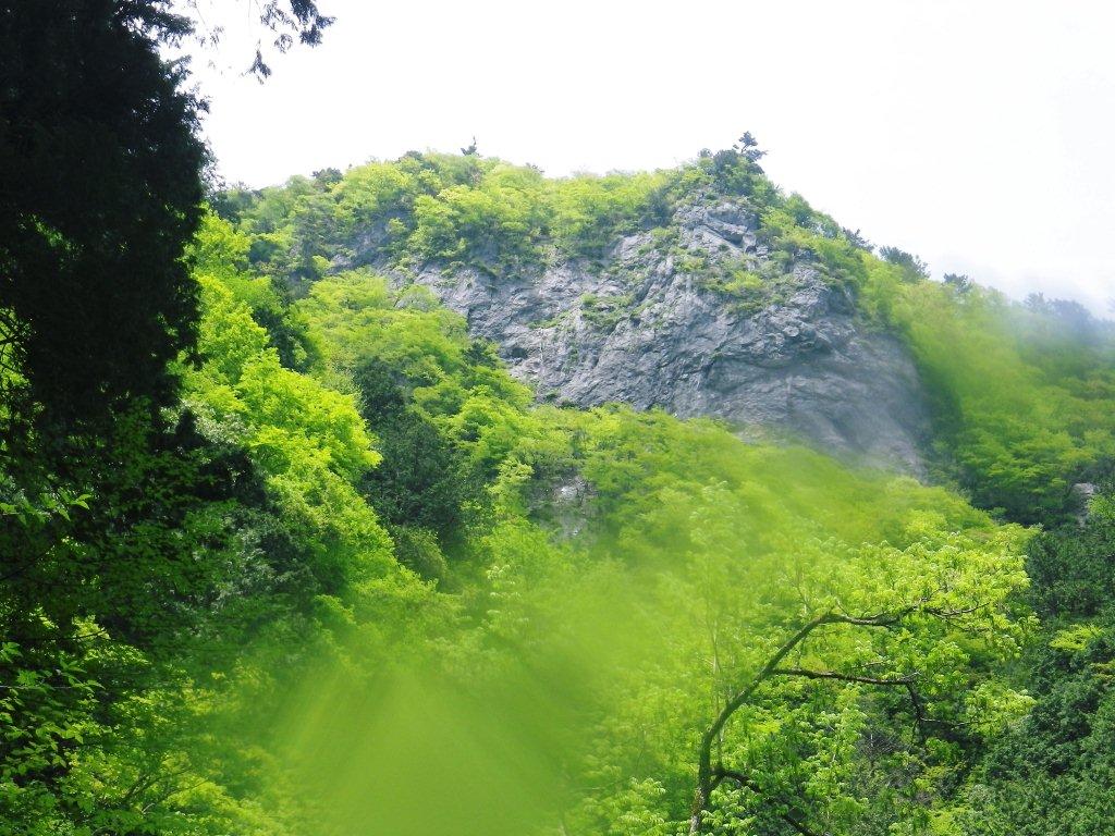 豆焼沢・29.jpg 豆焼沢・29.jpg