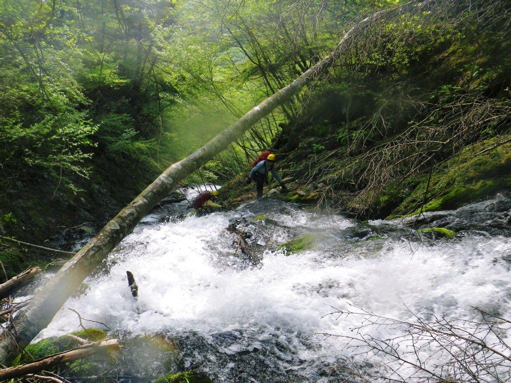 豆焼沢・42.jpg 豆焼沢・42.jpg