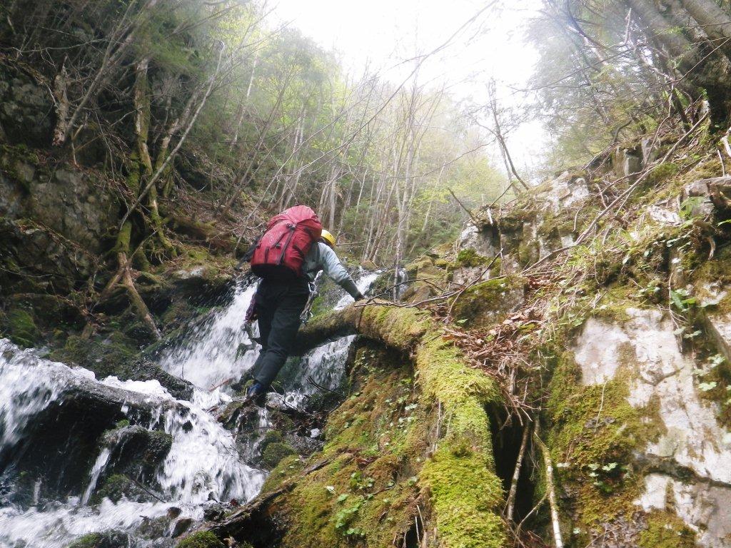 豆焼沢・48.jpg 豆焼沢・48.jpg