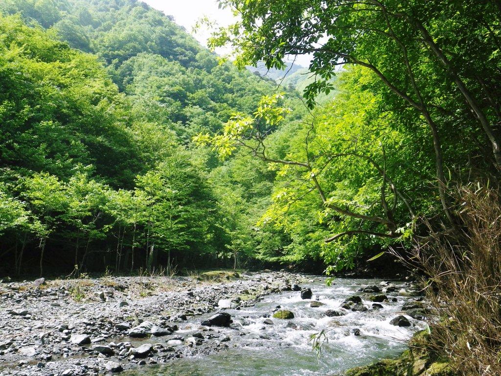 豆焼沢・5.jpg 豆焼沢・5.jpg