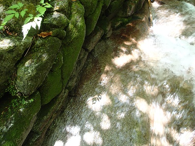 P6134448-1.jpg P6134448-1.jpg