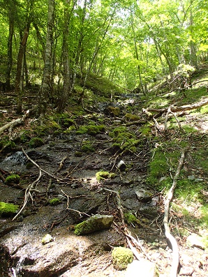 P6134460-1.jpg P6134460-1.jpg