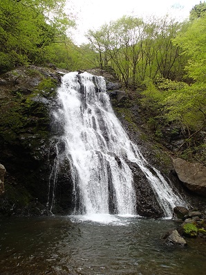 P4306421-1.jpg P4306421-1.jpg