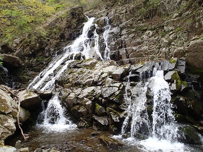 P4306439-1.jpg P4306439-1.jpg