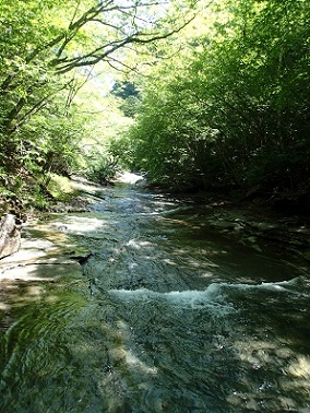 P6187156-2.jpg P6187156-2.jpg