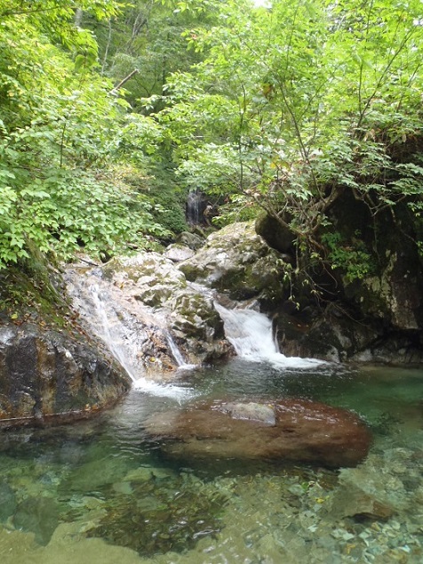 P9211648.jpg P9211648.jpg