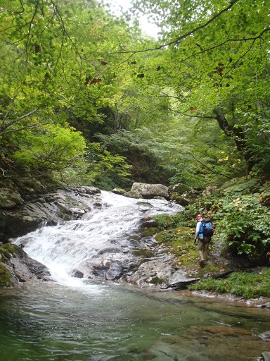 P9211652.jpg P9211652.jpg