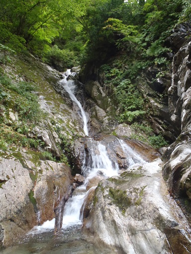 P9211656.jpg P9211656.jpg