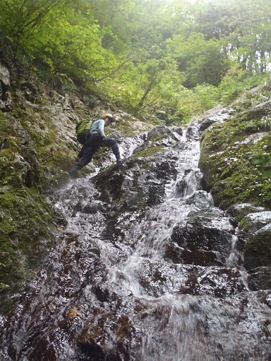 P9211663.jpg P9211663.jpg