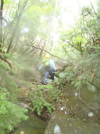 P9211670.jpg P9211670.jpg