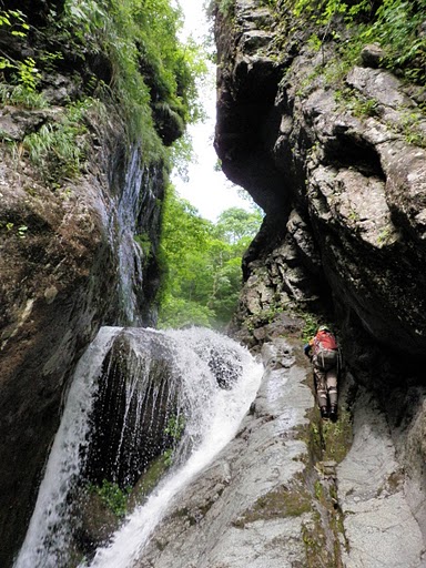 2010.07.31　浄瑠璃川～冷水岳+028[1].jpg