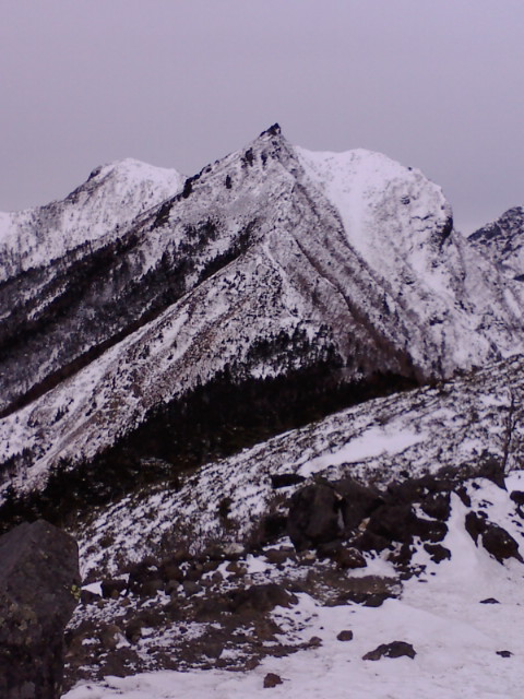 権現岳-9.jpg