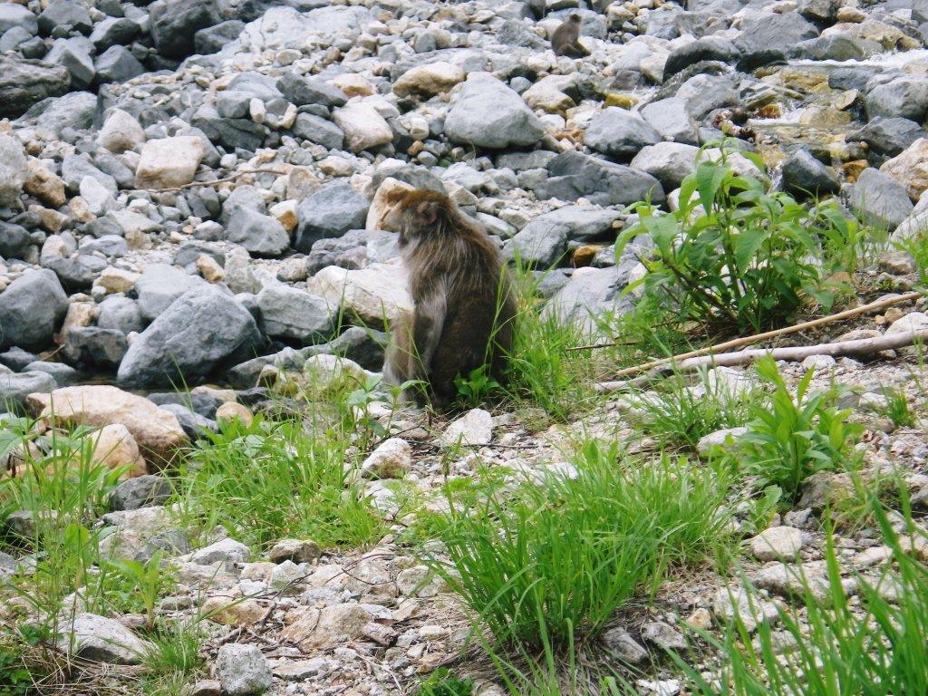 槍穂高-13.jpg 槍穂高-13.jpg