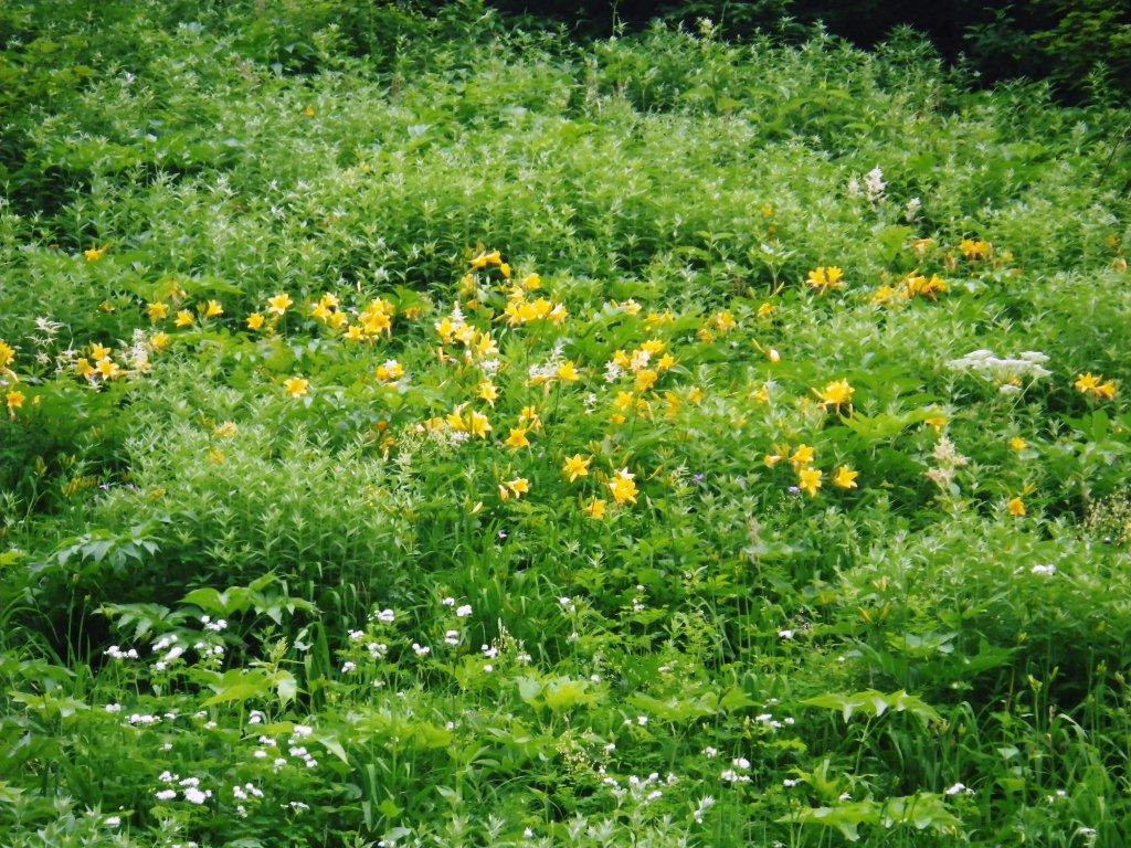 槍穂高-14.jpg 槍穂高-14.jpg