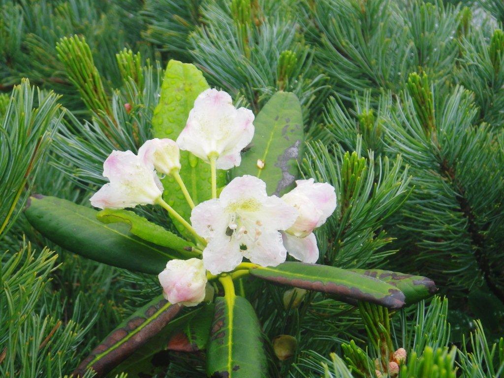 槍穂高-47.jpg 槍穂高-47.jpg