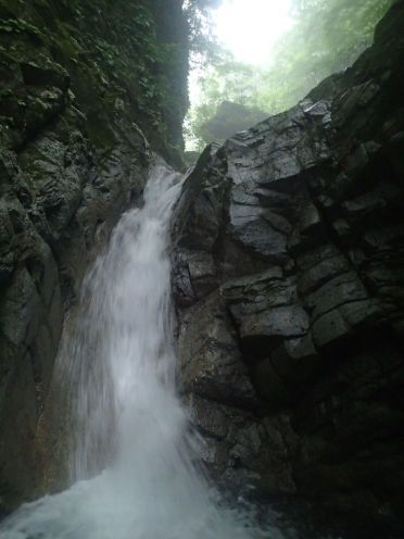 P7063490-1.jpg P7063490-1.jpg