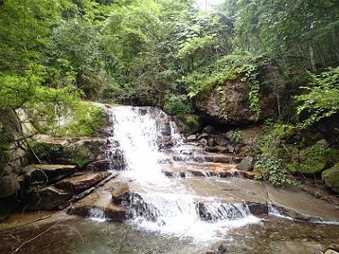 P8242917-2.jpg P8242917-2.jpg