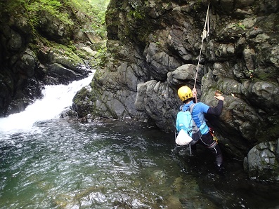 P9153073-1.jpg P9153073-1.jpg