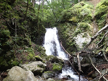 P9153094-2.jpg P9153094-2.jpg