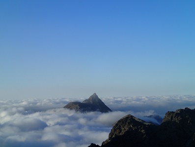 P9273165-1.jpg P9273165-1.jpg