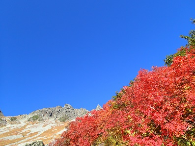 P9283178-1.jpg P9283178-1.jpg